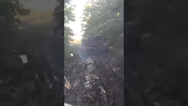 Солнцепёк пробирается через лес