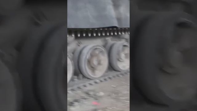 выдвигается сау Акация.