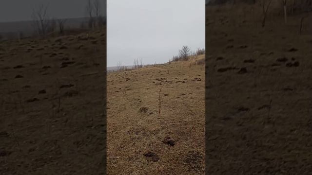 Обход фермы