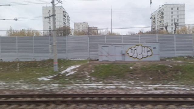 Ноябрьский микс поездов. 2024