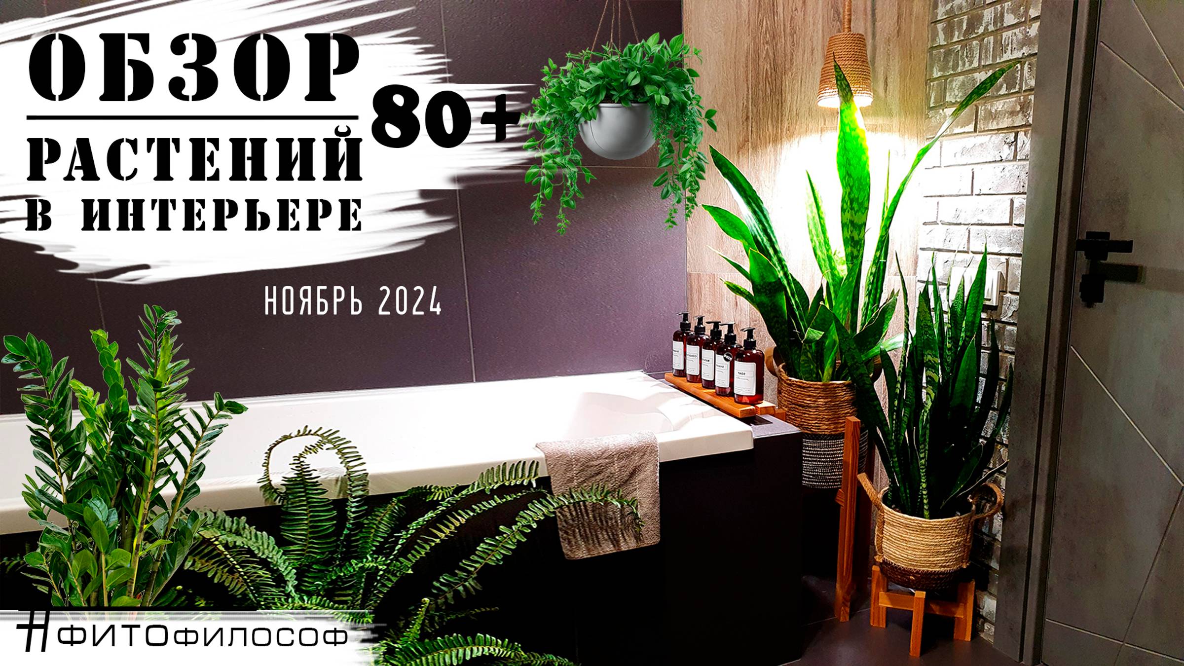 ОБЗОР РАСТЕНИЙ 80+ в квартире🌿 редкие кадры ЦВЕТЕНИЯ  Замиокулькаса и Сансевиерии! Новые листочки