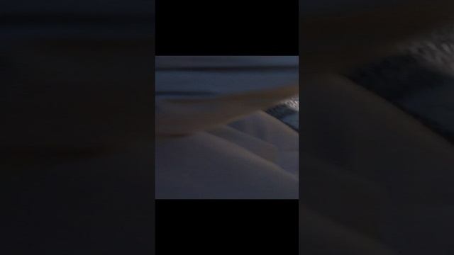 1000006934.mp4