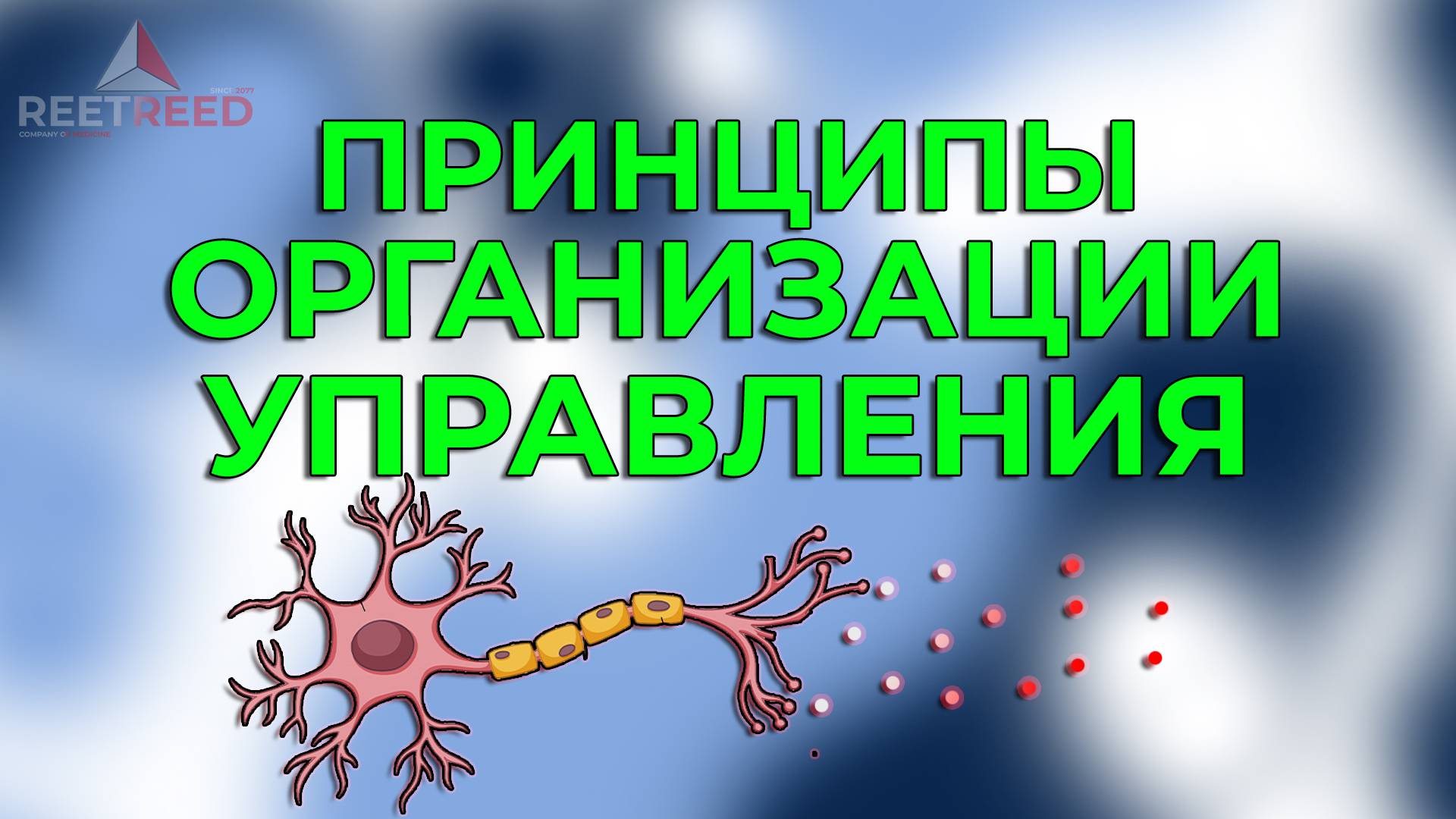 Управление функциями организма: Введение в физиологическую регуляцию