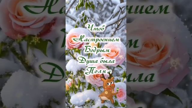 17 ноября, воскресенье