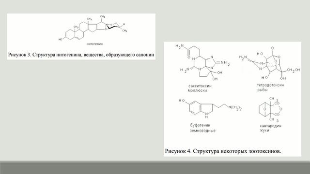 Основные понятия токсикологии