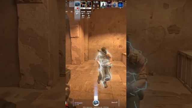 Zeus24111703