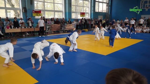 На спортивном празднике Лидеренок