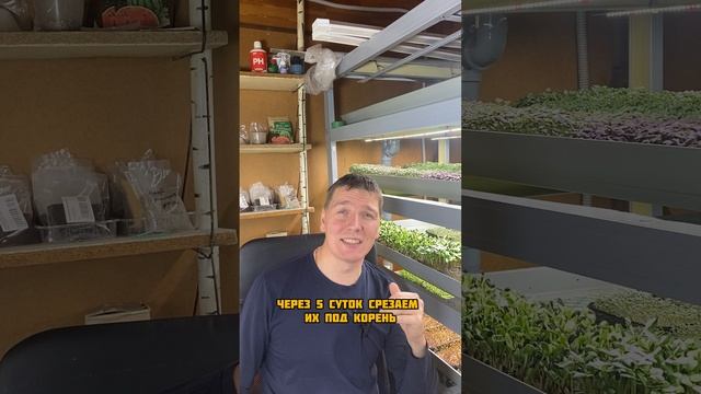 Секрет здоровья от предков