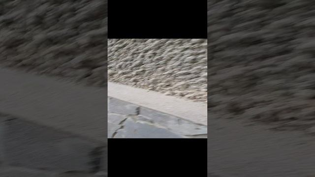 старая анапа