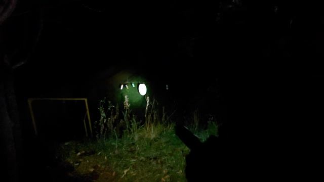 Дрозд - 661 после тюнинга.  Ночной отстрел.