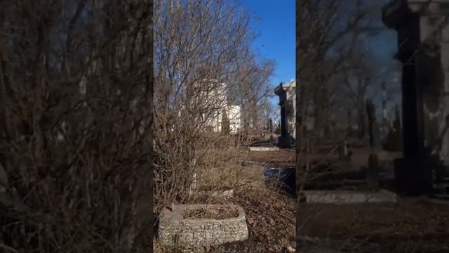 Третье маленькое чудо в виде трёх голубей. Клауд Роммель.