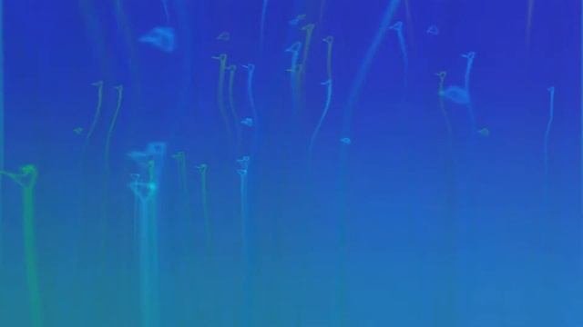 Песнь 7 Наука о Боге 2 15 Наставления для цивилизованных людей