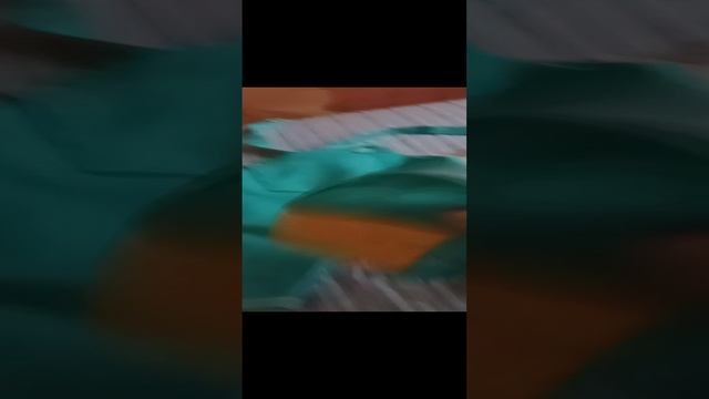 1000017295.mp4