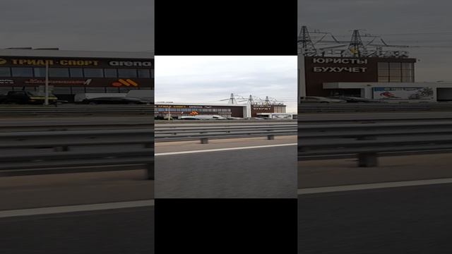 1000029638.mp4Москва 17.11.2024г.