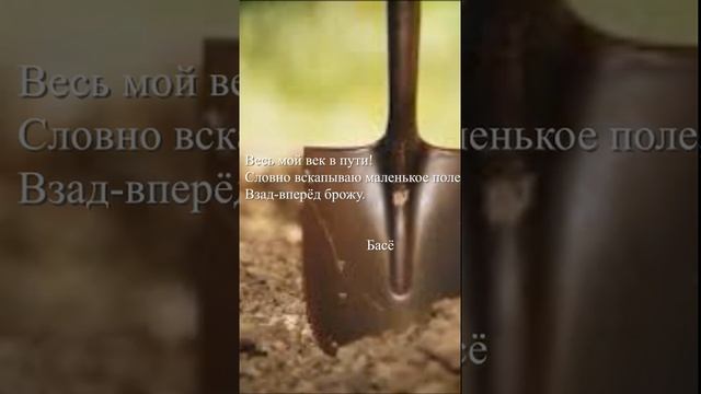 Басё - "Весь мой век в пути "