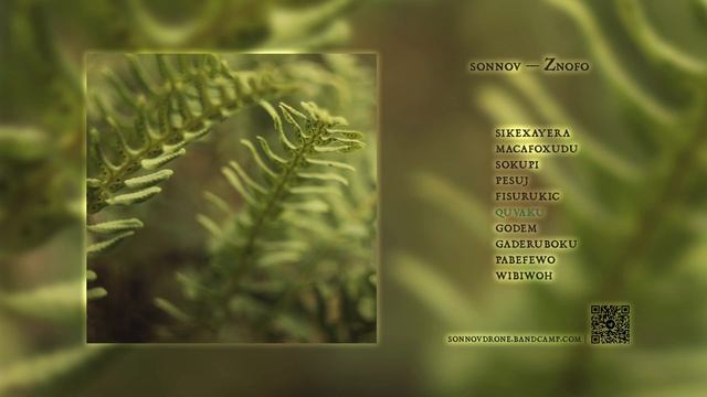 sonnov — Ƶnofo (2024)