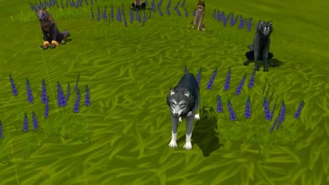 Это история стаи волков🐺