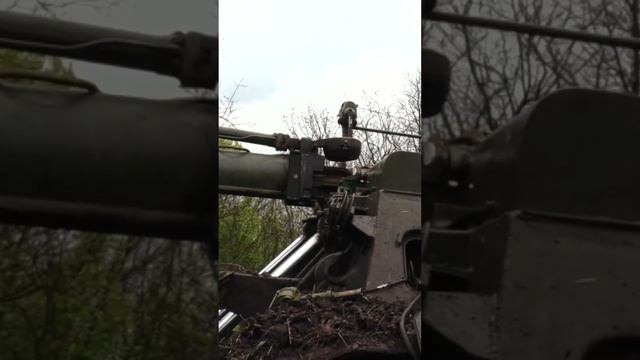 зарядили 2C4 Тюльпан