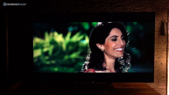 Vorstellung SONY XE93 LED TV Test KD65XD9305
