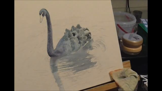 Чёрный лебедь.