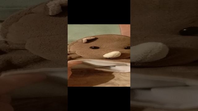 Красивый носорог