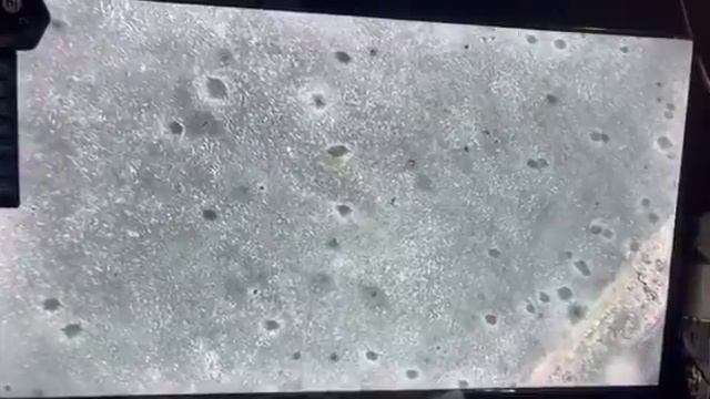 🇷🇺🕸Российский дрон с "сеткомётом" поймал украинский дрон с "сеткомётом"...