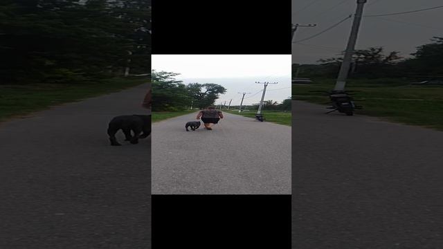1000051657.mp4