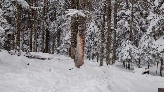 Смотровая площадка возле Азишской пещеры