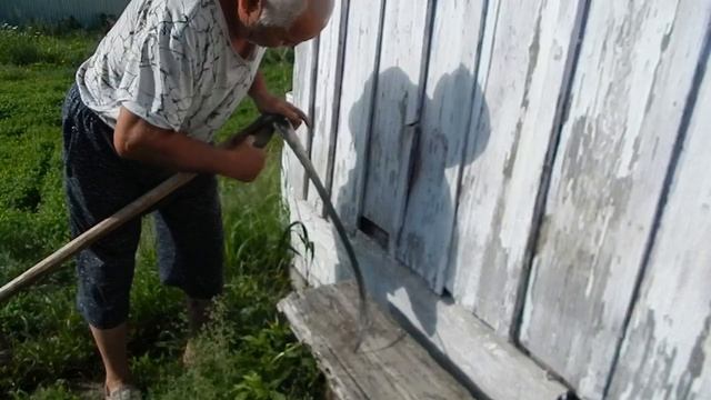 С Бензокосы перешел на косу косить, отбиваем, точим и косим как раньше