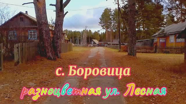 Село Боровица, разноцветная улица Лесная.mp4