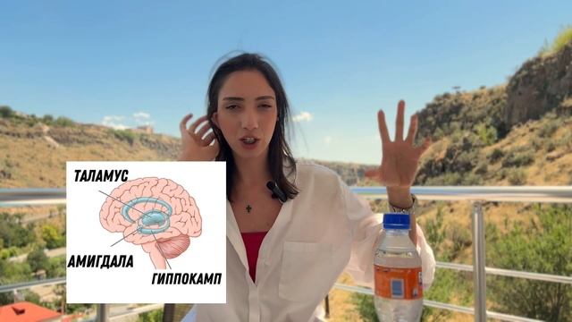 Как два режима мышления управляют нашими эмоциями?