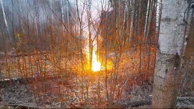 провод 10 000 вольт.mp4