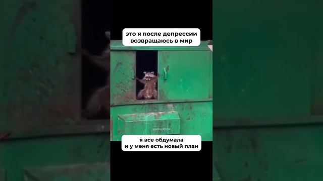 Встречайте 😁