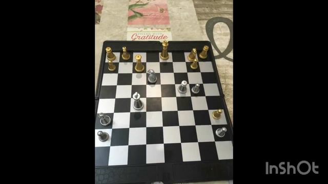 Живые шахматы