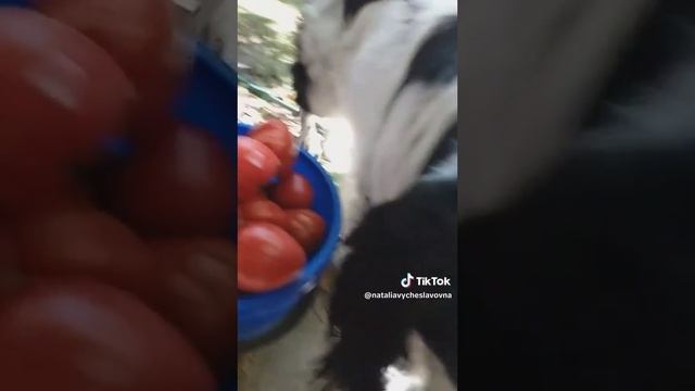 Это всё мне?...)))