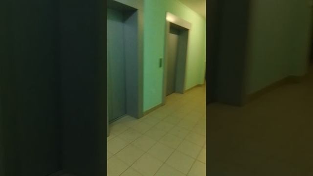 VID-20241117-WA0078