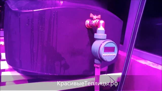 Теплица с оборудованием для продления сезона