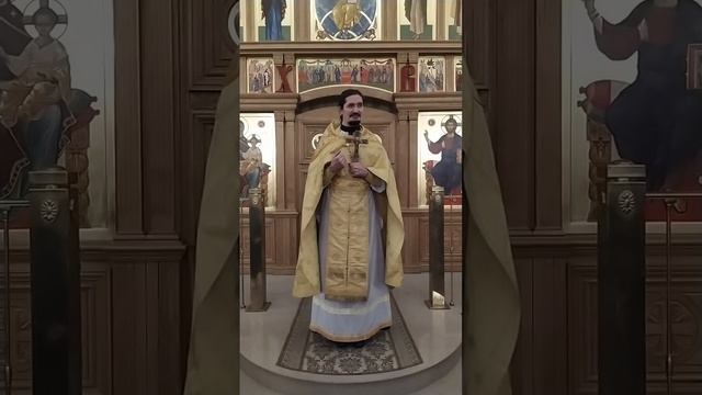 Служение Духа. Христос отменил закон. Проповедь о. Вячеслава. 16.11.24
