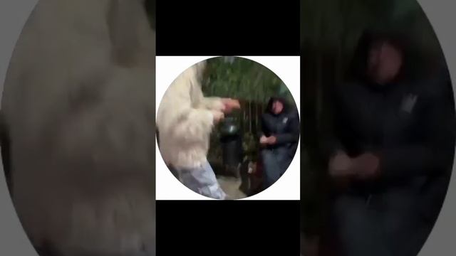 гг