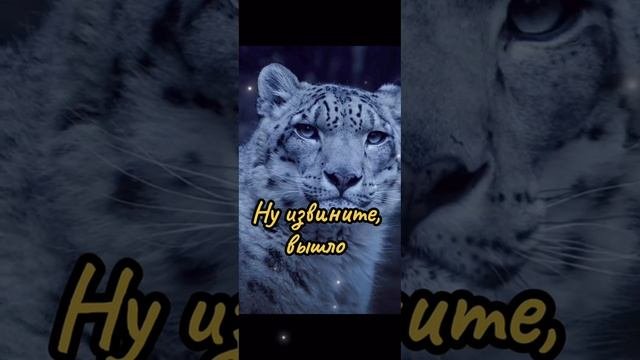 1000006455.mp4