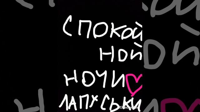 Спокойной ночи лапуськи❤️❤️❤️