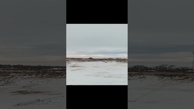 На улице мороз, а мы гуляем//взаимная подписка , дружба//