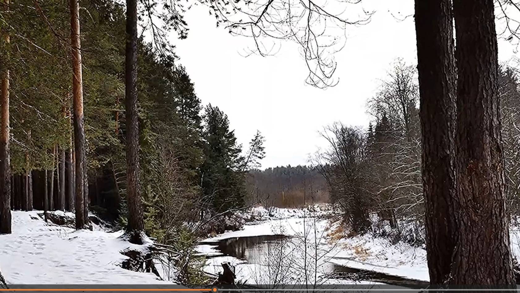 село Каркино. Декабрь. К.-Чепецкий район. Вятка.