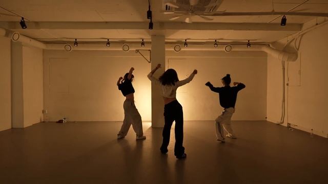 Black Swan - Gist _ Seohyun Choreography