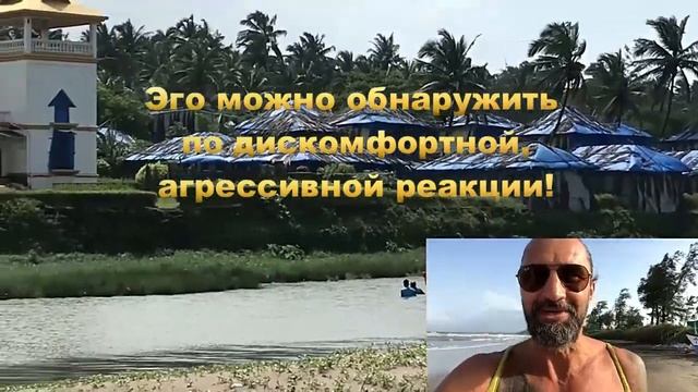 02 - Мысли РУЛЯТ при ХОДЬБЕ на работу свидание, на прогулке..ЧТОБЫ не болеть и не грустить
