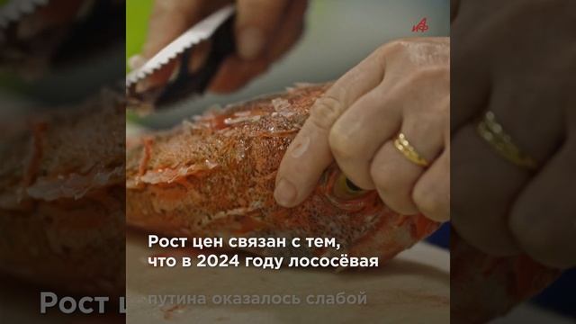 «Не трогай, это на Новый год»: Россиян предупредили о повышении цен на красную рыбу