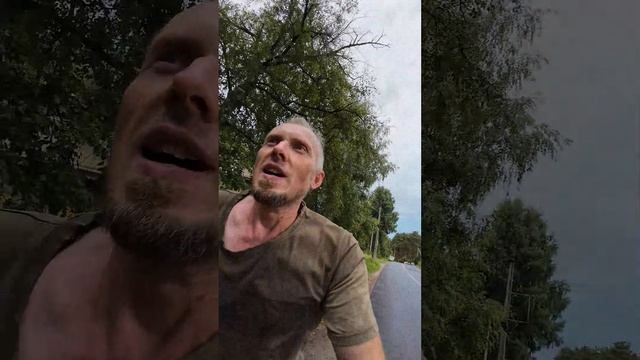 Осторожно собаки