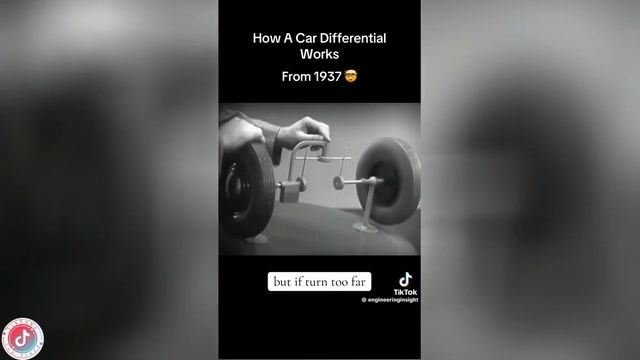 Best video of Tik Tok! 17.11.24 / 09