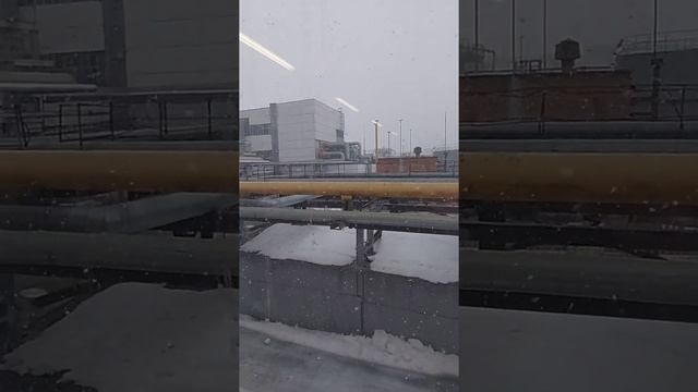Март, перестань!!!