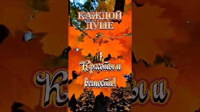 Пожалуйста, поддержите мой труд - поставьте лайк и подпишитесь на мой канал с открытками! Я буду ...